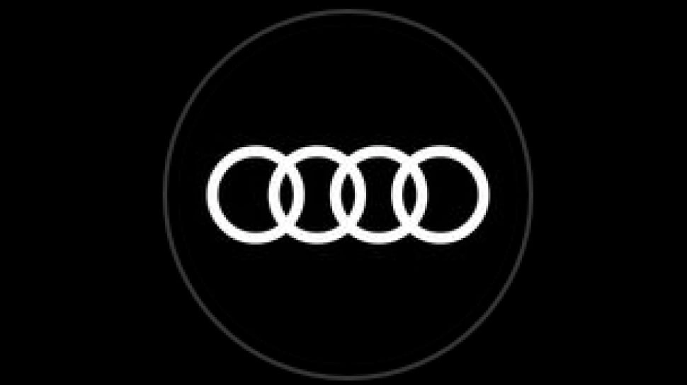 Bos Audi Fabrizio Longo Meninggal Dunia saat Mendaki Gunung, Terjatuh dari Ketinggian 3000 Meter