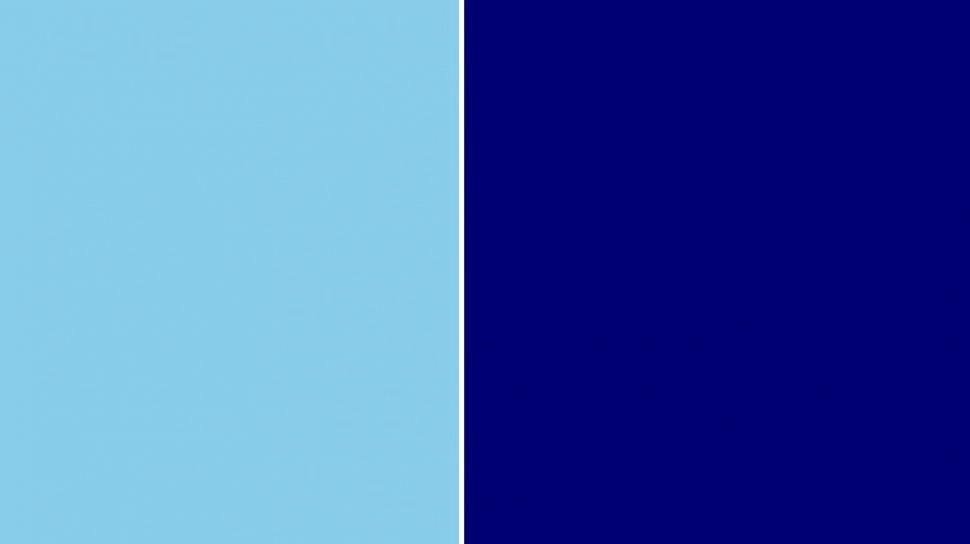 Biru Oligarki vs Biru Resistensi: Makna di Balik Pilihan Warna dalam Politik