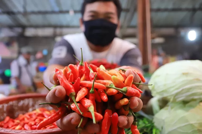 Harga Rata-Rata Nasional Bahan Pangan Meningkat Signifikan Hari Ini, Cabai Rawit Tembus Rp 4
