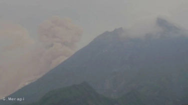 Aktivitas Gunung Merapi Intensif, Ratusan Guguran Lava dan Awan Panas Ancam Zona Bahaya