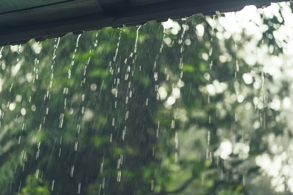 5 Kepribadian Unik yang Dimiliki Pecinta Hujan, Kebanyakan Pluviophile Berkarakter Introvert