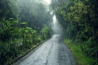 Banyak yang Suka, Ini Alasan Aroma Hujan Dianggap Menyenangkan dan Bisa Mengubah Mood Seseorang