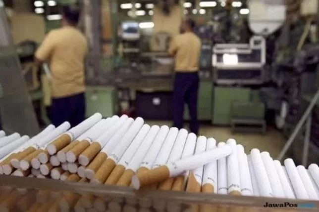 Puluhan Asosiasi Lintas Sektor Tolak Aturan Rokok Wajibkan Plain Packaging, Apindo Beberkan Alasannya