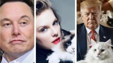 Kucing Jadi Topik Panas di Pilpres AS: Taylor Swift, Donald Trump hingga Elon Musk Saling Sindir