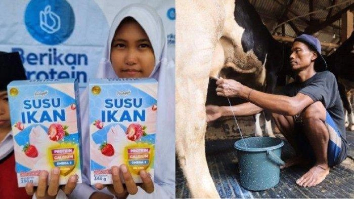 Perbedaan Kandungan Gizi Susu Ikan Vs Susu Sapi, Lengkapi Menu Program Makan Siang Gratis