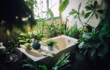 9 Hal yang Dilarang Dilakukan di Kamar Mandi, Bisa Mempelancar Rezeki dan Terbebas dari Gangguan Para Makhluk Astral
