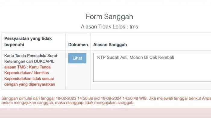 Cara Menulis Alasan Sanggah bagi Pelamar TMS Seleksi Administrasi CPNS 2024 dan Contoh Kalimatnya