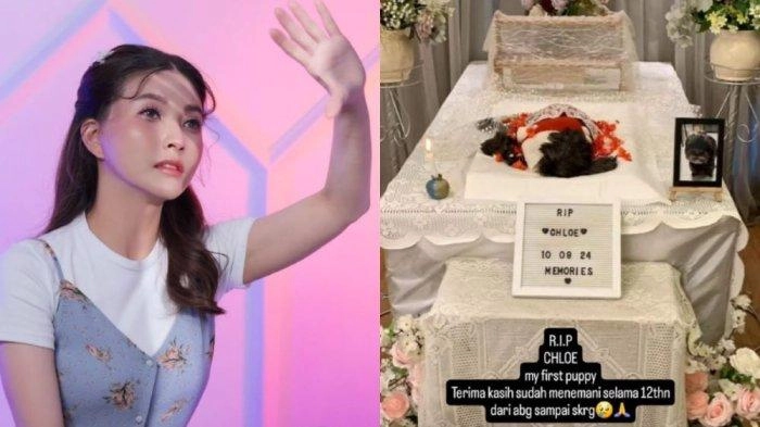 Duka Sarwendah di Tengah Proses Cerai, Anjing Peliharaannya Mati hingga Buat Upacara Kremasi