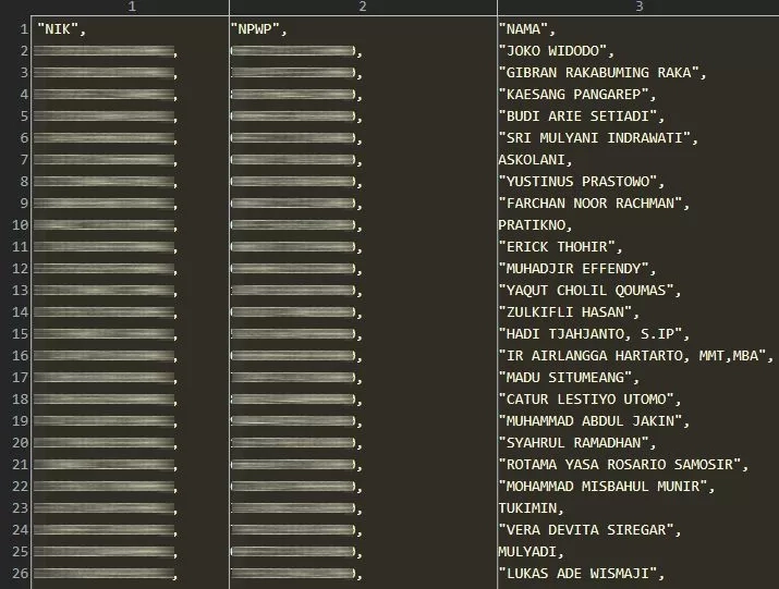 Hacker Bjorka Bangun dari Tidur, Acak-acak Data DJP, NPWP Jokowi, Gibran, Kaesang, hingga Sri Mulyani