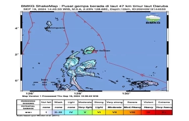 Gempa magnitudo 5.6 Guncang Daruba Maluku Utara Hari Ini, Ini Arti Skala MMI yang Sering Muncul di Info BMKG