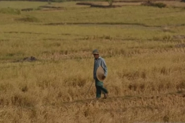 Jasindo Siap Sukseskan Program Pangan Nasional Lewat AUTP, Edukasi Petani Pentingnya Perlindungan dari Risiko Gagal Panen