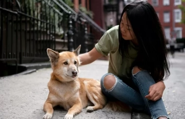 Terungkap! Hal-hal Ini Dapat Membuat Anjing Kesayanganmu Sedih, Jangan Abaikan Perasaannya Lagi