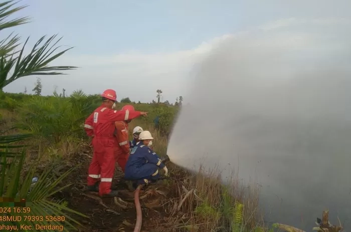 SKK Migas Bersama PetroChina International Jabung Bantu Tangani Karhutla Jambi