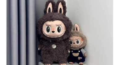 Viral Dipakai Lisa Blackpink Hingga Fuji, Berapa Harga Boneka Labubu?