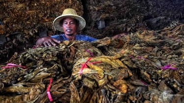 Petani Minta Kemenkes Akomodir Masukan Elemen Pertembakauan