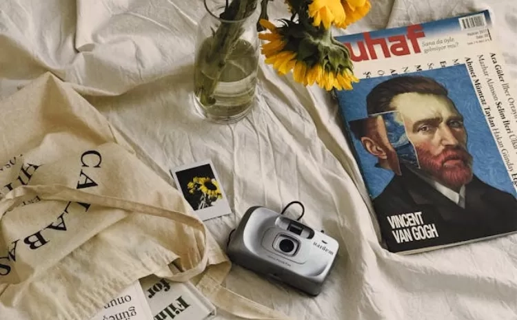 Deretan Seniman dari Negeri Belanda yang Terkenal secara Internasional, Salah Satunya Vincent van Gogh