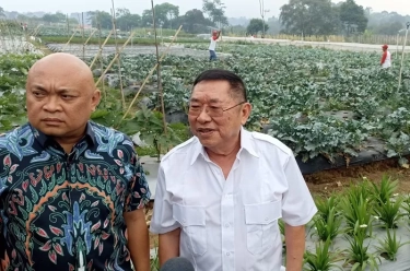 Kualitas SDM Pertanian Memprihatinkan, Rata-Rata Usia 45 Tahun dan Mayoritas Tak Lulus SD