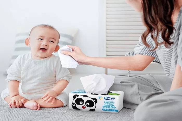 Tren Tisu Bambu Tingkatkan Kesadaran Masyarakat Pakai Produk Ramah Lingkungan
