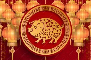 Unggul dan Istimewa! 5 Shio dengan Kelebihan Khusus yang Mampu Menciptakan Keberuntungan Sejak Lahir