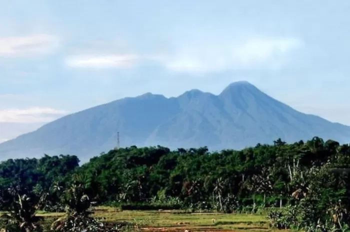 Taman Nasional Gunung Halimun Salak Yang Indah dan Asri Ragam Flora dan Fauna  