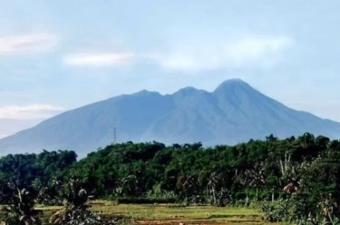Taman Nasional Gunung Halimun Salak Yang Indah dan Asri Ragam Flora dan Fauna  