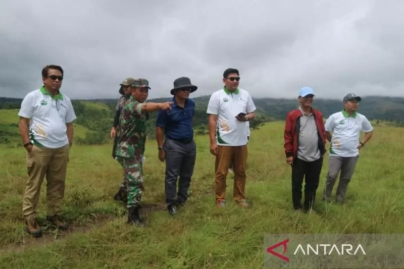 Badan Bank Tanah Siapkan 2.900 Hektare Lahan di Napu Poso untuk Industri Sapi Perah dan Pengolahan Susu