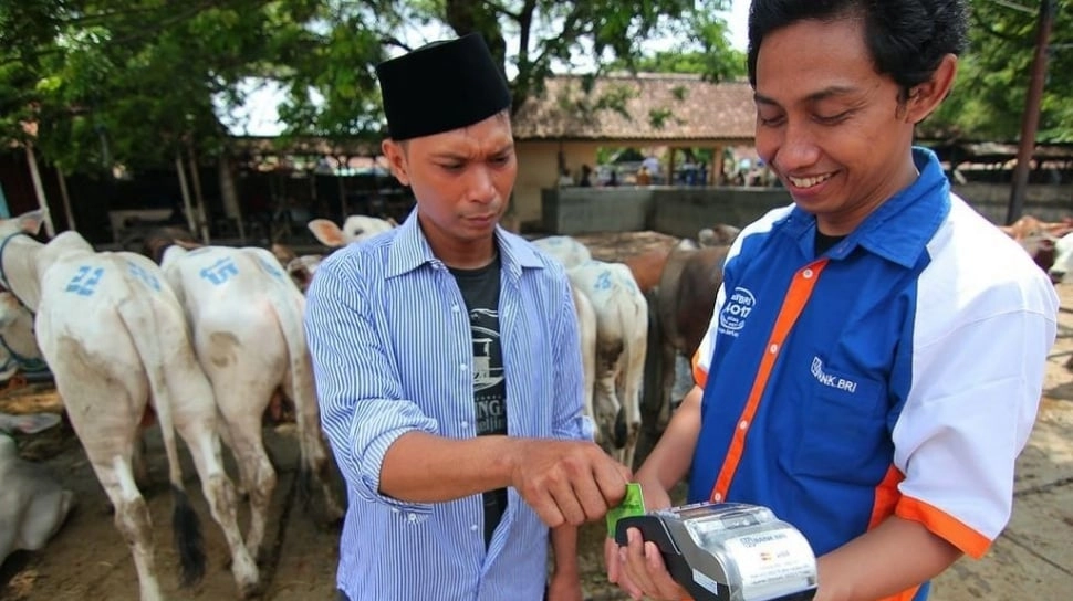 Contoh Surat Keterangan Usaha untuk Pengajuan KUR BRI
