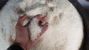 Bank Dunia Sebut Beras RI Termahal di ASEAN, Bapanas Jadi Sorotan