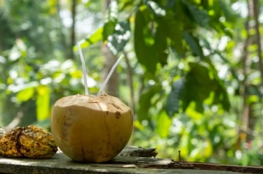 6 Manfaat Air Kelapa Bagi Kesehatan Tubuh, Baik Diminum Setelah Berolahraga