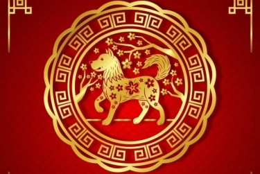 6 Shio yang Semakin Meningkat Derajatnya: Raih Kelas Atas dan Masa Depan Penuh Prestasi, Menurut Astrologi Tiongkok