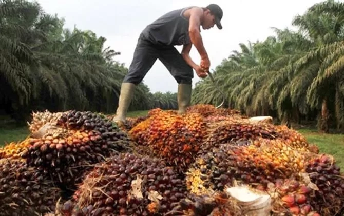 Catat Pertumbuhan Aset 15,6 Persen Enpat Tahun Terkahir Berkat Transformasi Bisnis