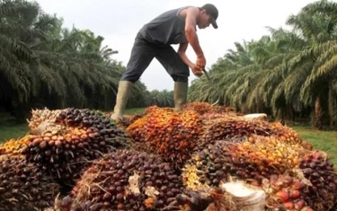 Catat Pertumbuhan Aset 15,6 Persen Enpat Tahun Terkahir Berkat Transformasi Bisnis