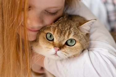 Mata Kucing: Rahasia Anatomi, Perilaku, dan Fungsi Unik yang Perlu Kamu Ketahui untuk Cat Lovers!