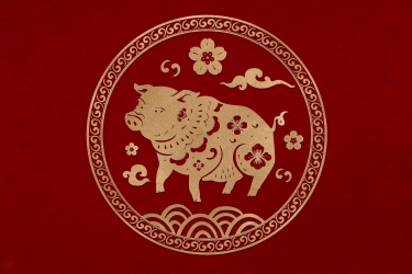Ramalan Shio Hari Ini, Sabtu 28 September 2024 untuk Monyet, Ayam, Anjing, dan Babi
