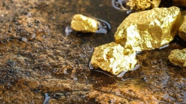 Modus Warga China Gasak Tambang Emas 774 Kg di Kalimantan, Indonesia Rugi Rp1 Trilun