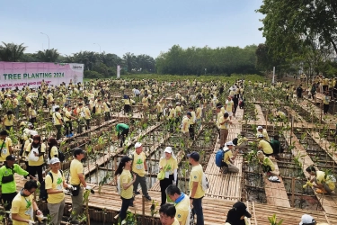 Libatkan 700 Relawan dari Indonesia dan Jepang, 5.000 Mangrove Bakal Ditanam di Kawasan Pesisir