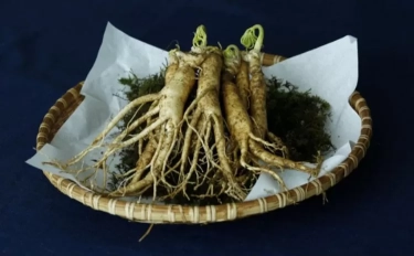 Ginseng Bermanfaat Tambah Kolagen untuk Kulit Agar Tampak Awet Muda, Ini 7 Resep yang Bisa Dicoba Sendiri di Rumah