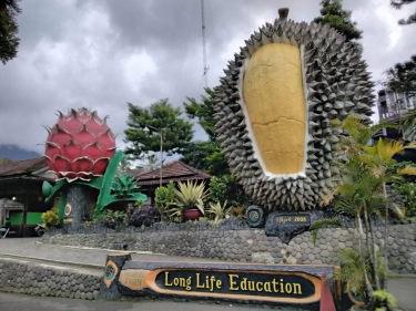 Kebun Durian Warso Farm, Mengenal Destinasi Wisata bagi Pencinta Makan Buah Durian