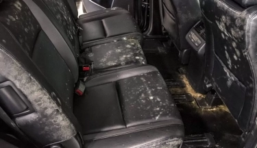 Interior Mobil Ternyata Bisa Jamuran, Ketahui Penyebabnya