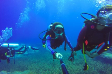 Tips Penting Bagi Penyelam Scuba Pemula: 10 Cara Meningkatkan Pengalaman Menyelam Anda Secara Efektif dan Aman