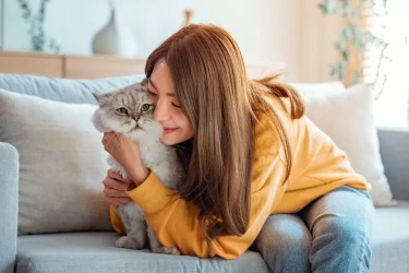 Penasaran Apakah Kucing Peliharaan Anda Bahagia? Berikut 5 tandanya, Salah Satunya Meneteskan Air Liur