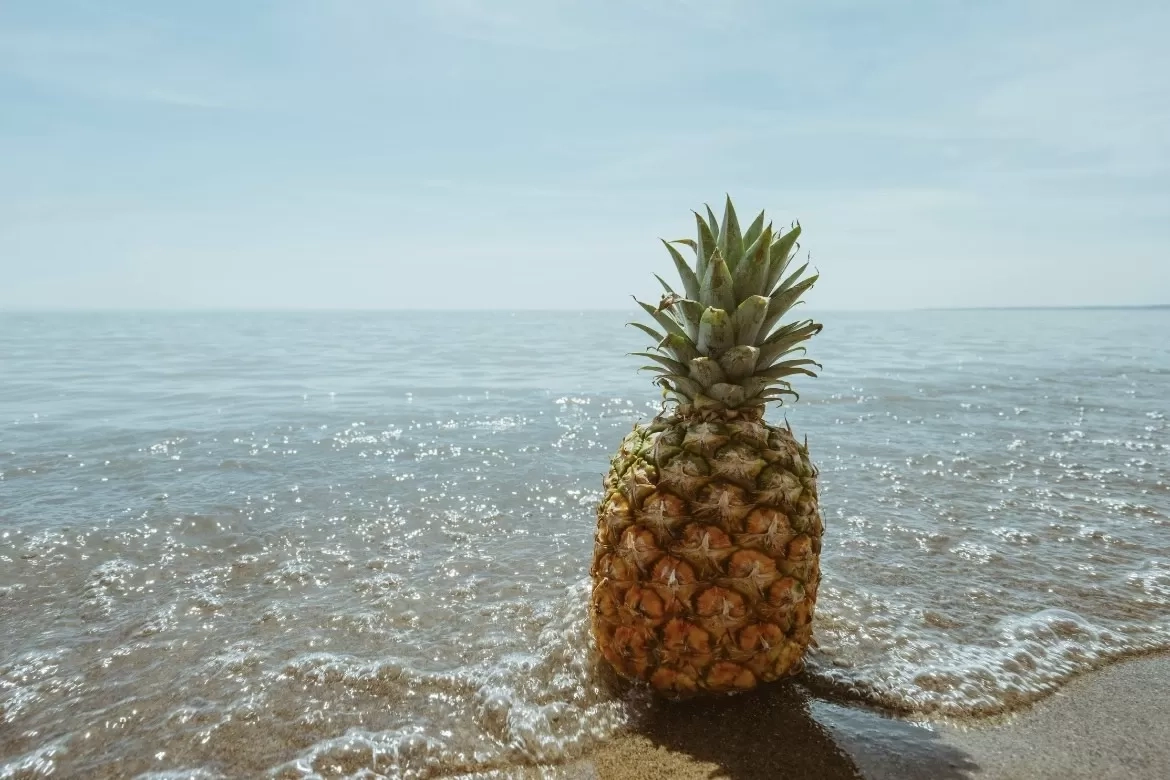 Cegah Kanker Payudara Dengan Buah Nanas, Simak Manfaat Mengonsumsi Buah Nanas Bagi Perempuan