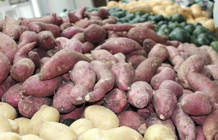 9 Manfaat Ubi Jalar Bagi Kesehatan: Mencegah Penuaan Dini hingga Penurunan Berat Badan