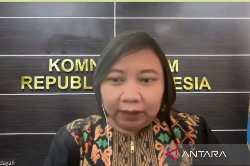 Komnas HAM Simpulkan Ada Pelanggaran HAM dalam Kasus Vina Cirebon