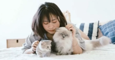 Libra hingga Taurus, Ini 4 Zodiak yang dikenal Suka Merawat Hewan Terlantar