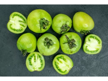 Manfaat Konsumsi Tomat Hijau Menurut Penelitian, Miliki Khasiat Sama dengan Tomat Merah