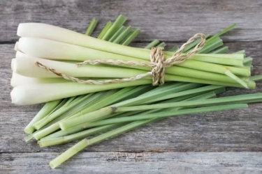 Tak Semua Orang Bisa Konsumsi Serai, Berikut Golongan Orang yang Disarankan Tak Mengonsumsi Serai