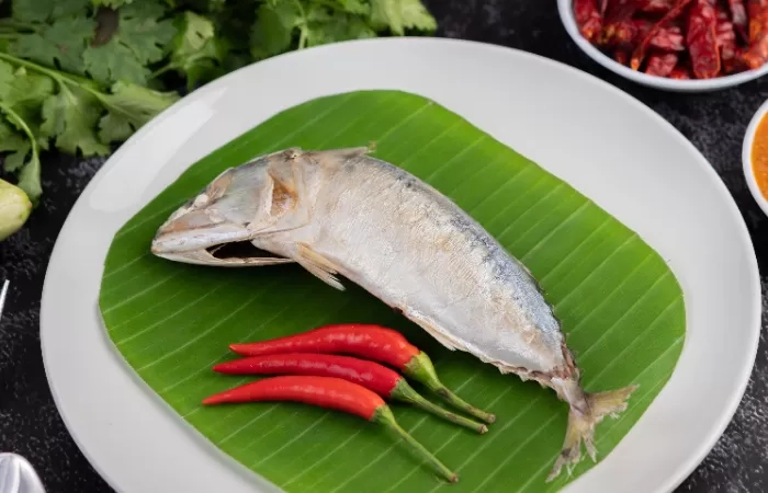 6 Manfaat Konsumsi Ikan Bandeng untuk Kesehatan, Salah Satunya Dapat Mencegah Risiko Anemia