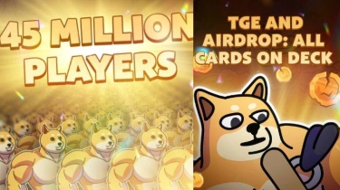 Mengenal MemeFi, Game Kripto Terbaru yang Airdrop-nya Viral Diburu Banyak Orang Pekan Ini