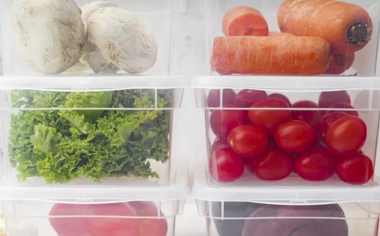 Ketahui 4 Manfaat yang Bisa Kamu Dapatkan dari Food Preparation, Serta Cara Menyimpannya dengan Benar